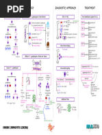 Hematology Pathology - 005) Chronic Lymphocytic Leukemia (CLL) (Illustrations - Key)