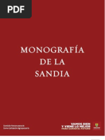 Monografia Sandia2010