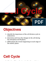 6 Cell Cycle