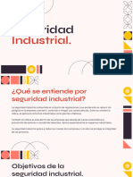 Seguridad Industrial 