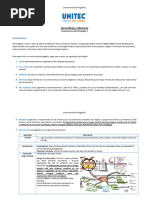 Lineamientos y Rúbrica Correspondiente Al Entregable 1 Infografía. Semana 2