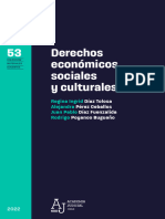 MD 53 Derechos Economicos Sociales y Culturales