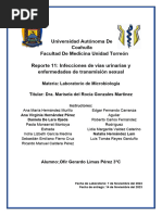 Reporte IVUS Ofir Limas