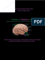 Livro Como o Cérebro Lê. Tendências Da Neurociência Da Leitura e Melhoria Nas Habilidades de Leitura.