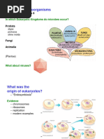 #4 Eukaryotes