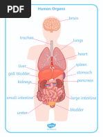 T2 S 055 Human Body Organs Display Posters Ver 2