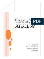 Derecho de Sociedades-Ii