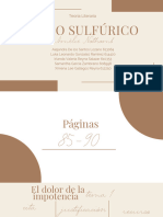 3.PPT de Presentación de - Ácido Sulfúrico