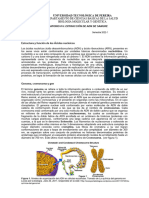 Guía Práctica Extracción de ADN 2022-1