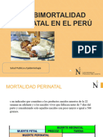 Mortalidad Perinatal Final