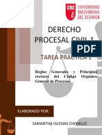 2 Análisis de La Sentencia No. 344-16-Ep/21 de La Corte Constitucional para Identificar Los Principios Rectores Del Proceso Judicial.