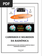 Pdfslide - Tips Caminhos e Segredos Da Radionica 56d62cc94cd09