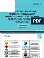 Hbp. Tumores Do Rim Bexiga E Próstata. Neoplasias Da Próstata, Do Urotélio, Do Rim E Do Testículo. Emergências Urológicas