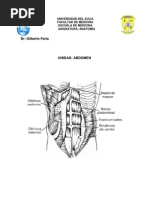 Quizt de Abdomen