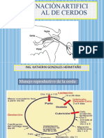 Inseminación Artificial de Cerdos Diapositivas