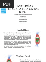 3.0 Anatomía y Fisiología de La Cavidad Bucal