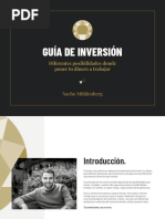 Guia de Inversion - v03