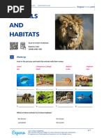 Animals and Habitats British English Teacher