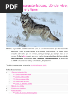 EL LOBO (Trabajo Escolar)