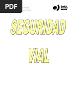 Seguridad Vial