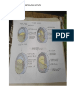 GASTRULATION-ACTIVITY - DEV-BIO - Bio 102