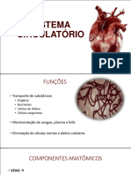 Sistema Circulatório