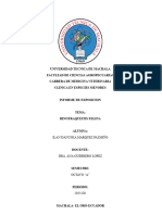 Informe de Rinotraqueitis Infecciosa Viral Felina