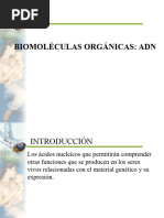 Biomoleculas Organicas Ii