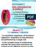 M 1 PPT-PDF XI Bio CH 7 Structural Organisation in Animals