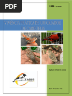 Vivência Prática de Um Criador de Carduelis - Fassis 07.04