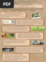 Infografia Produccion Agricola, Pecuaria y Forestal 3e