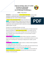 Informe (Cavidad Pulpar)