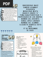 Caracterizacion y Propiedades de Los Grupos