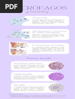 Infografía - Macrófagos