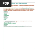 Injerto Lateral Subcortical - HTML