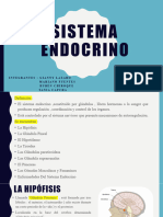 Sistema Endocrino Terminado