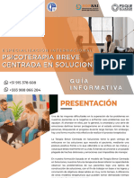 Guia Programa-Psicoterapia Breve Centrada en Soluciones-2023