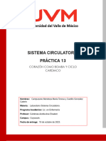 Practica 13 (Sistema Circulatorio)