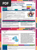 3° Primaria - Saberes y Pensamiento - Enero