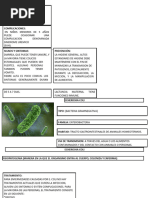 Tarea de Microbiologia-1.