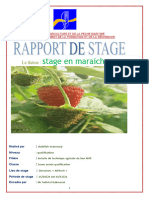 Abdellah Rapport (AutoRecovered) &RVF