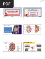 Slides Fisiologia Renal