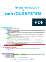 Nervous System