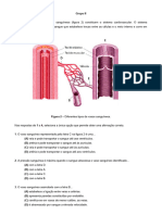 Teste Ciencias 9 Ano Sistema Circulatorio