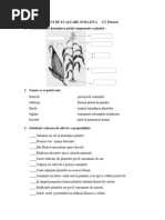 Marian Test