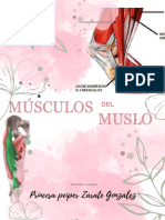 Músculos Del Muslo - 20231106 - 202434 - 0000