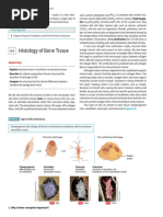 Tortora Principles of Anatomy and Physiology