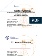 2.2. Muscle Physiology - Muscle Structure 2023