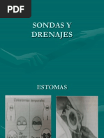 Estomas y Drenajes