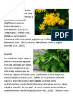 30 Plantas Medicinales